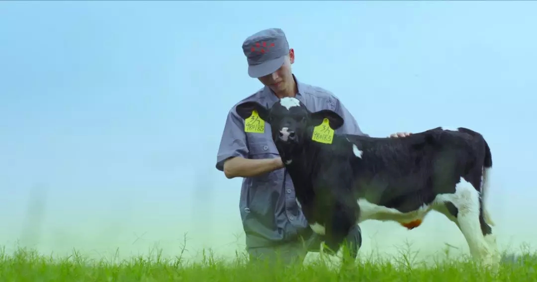 喜報 | 國家市場監管總局抽檢，花花牛等112家企業乳品抽檢全部合格
